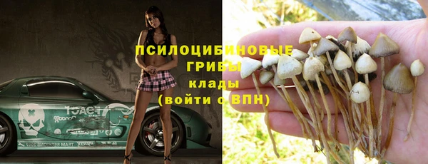 гидропоника Алексин